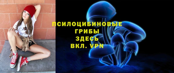 дживик Богородск