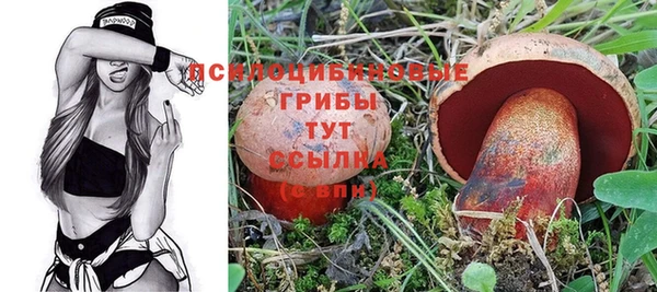 бошки Богородицк