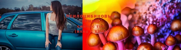 бошки Богородицк