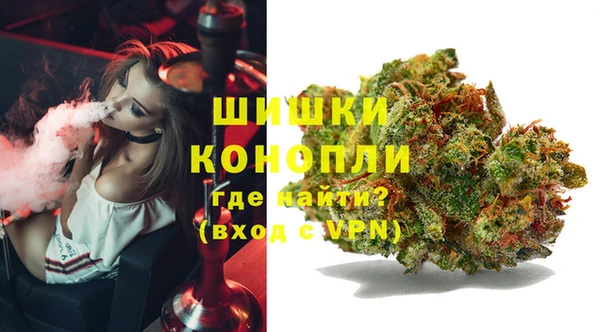 бошки Богородицк