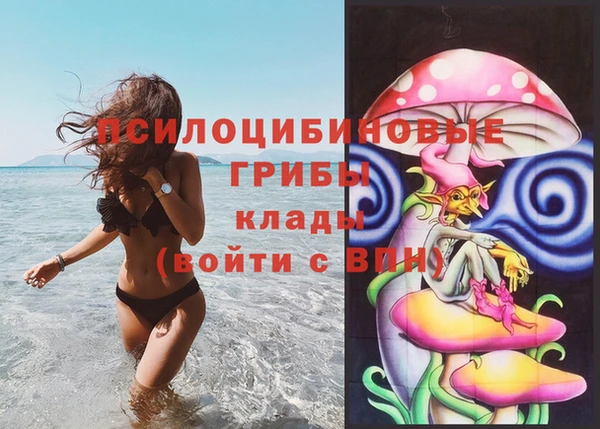 дживик Богородск