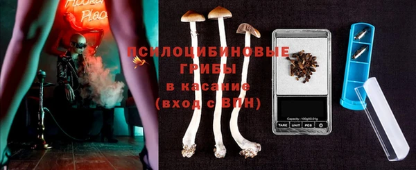 дживик Богородск
