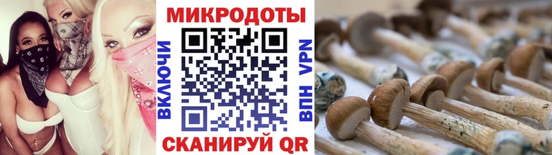 Галлюциногенные грибы Cubensis МЕГА зеркало Чебоксары даркнет сайт